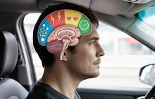 Grafika kierowcy z rysunkowym obrazem funkcji mózgu